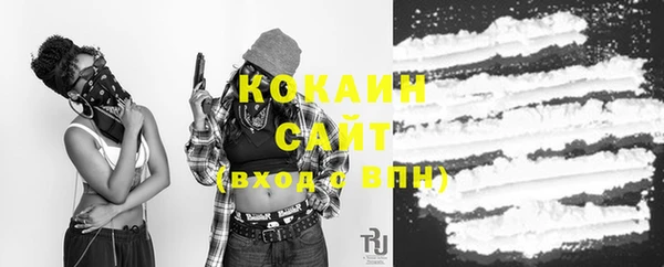мет Ладушкин