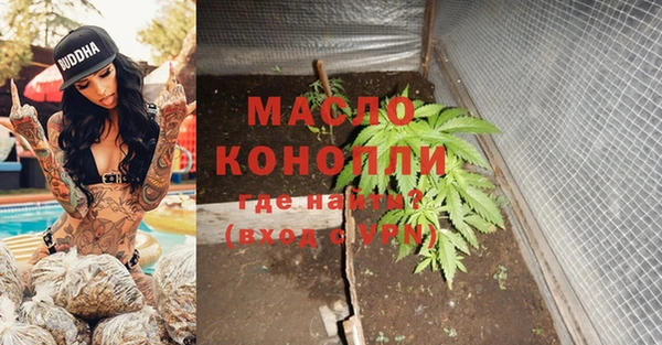 мдпв Пестово