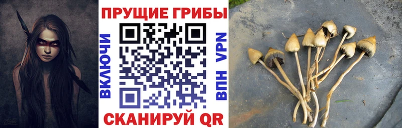 Галлюциногенные грибы Magic Shrooms  Узловая 