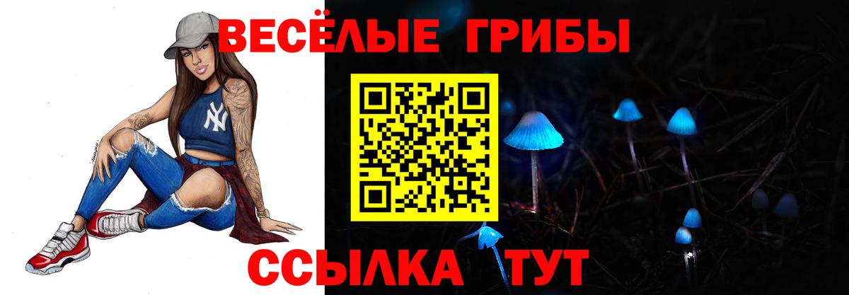 Узловая  Галлюциногенные грибы мицелий  Вход с VPN 