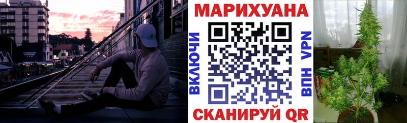 Каннабис ГИДРОПОН  Узловая 