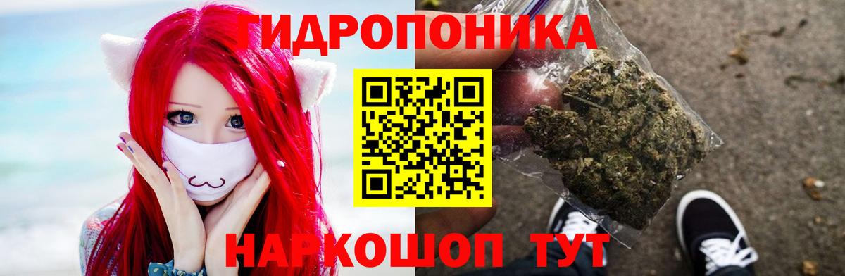 Бошки марихуана сатива Узловая